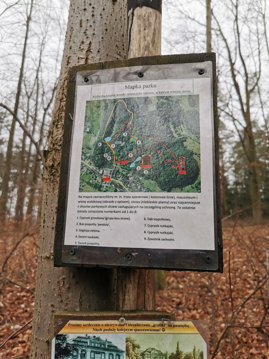 ten-park-warto-zobaczyc-93778