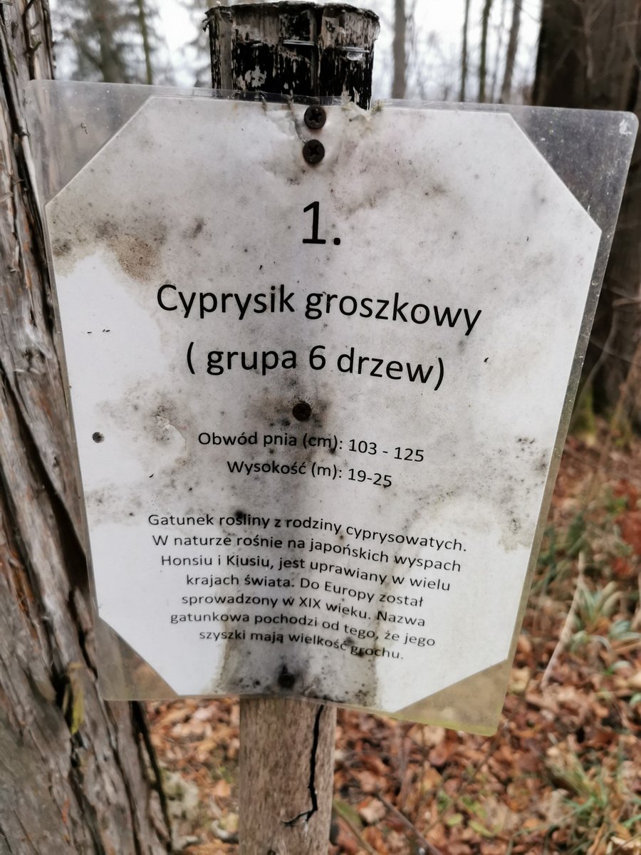 ten-park-warto-zobaczyc-93778