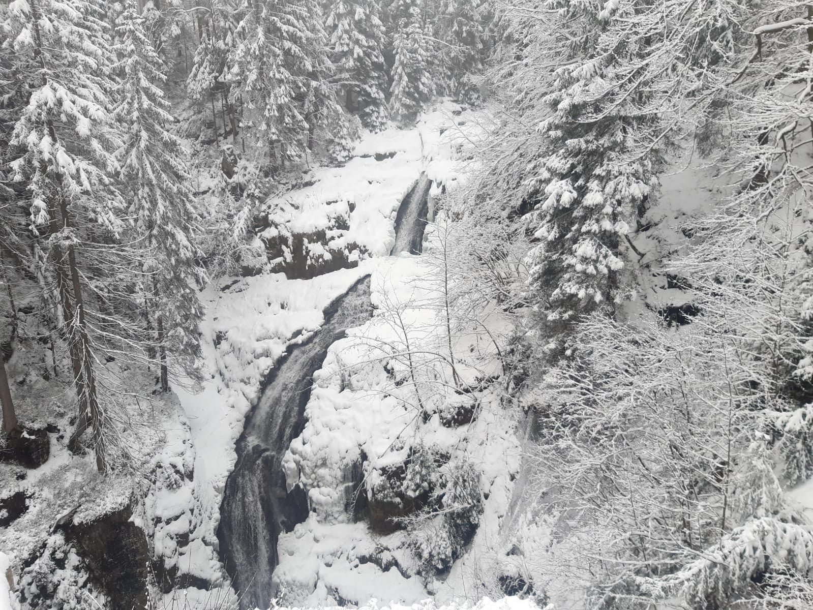 wawoz-kamienczyka-otwarty-dla-turystow-93838