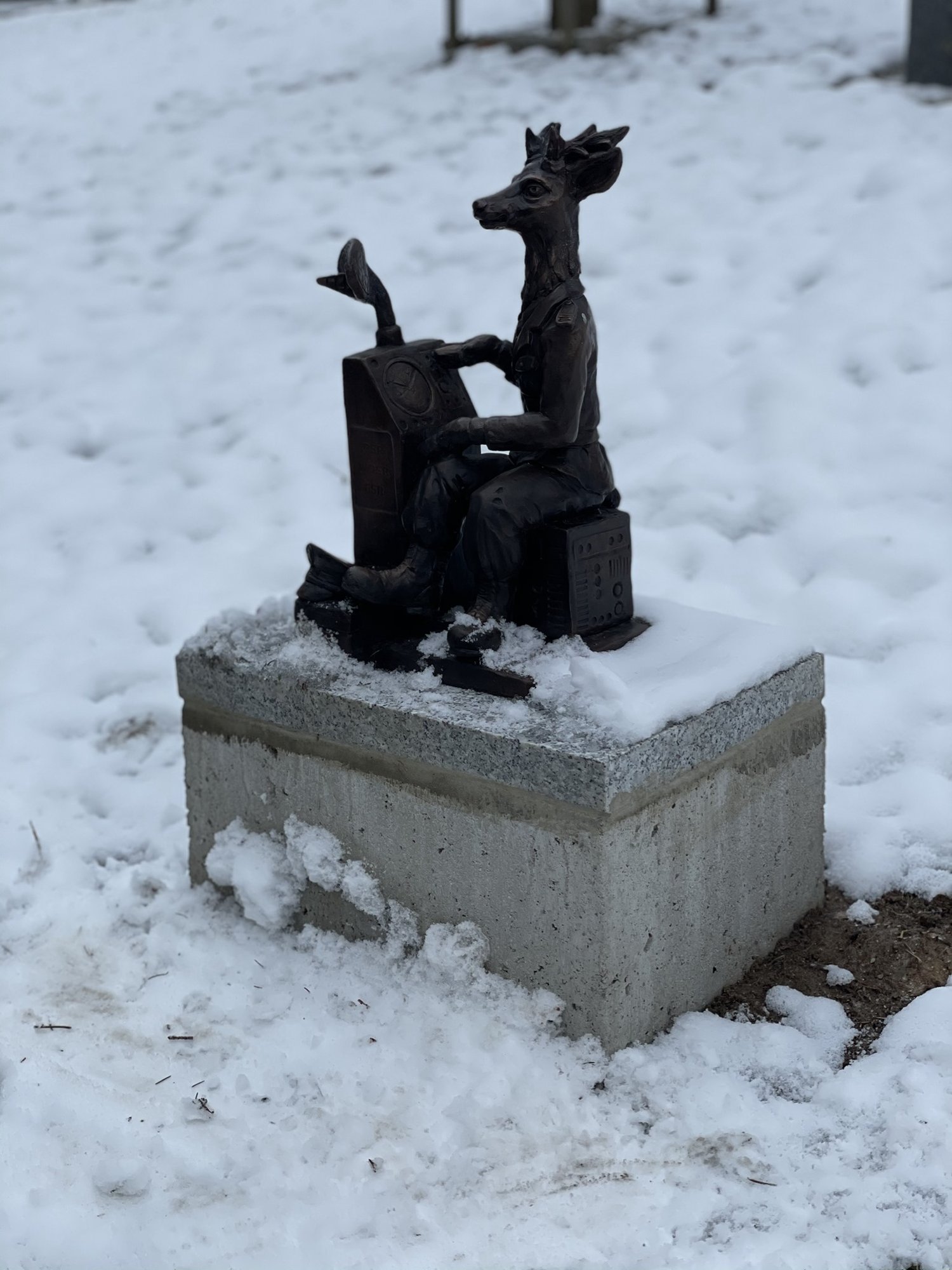 kolejne-jelonki-na-szlaku-93853