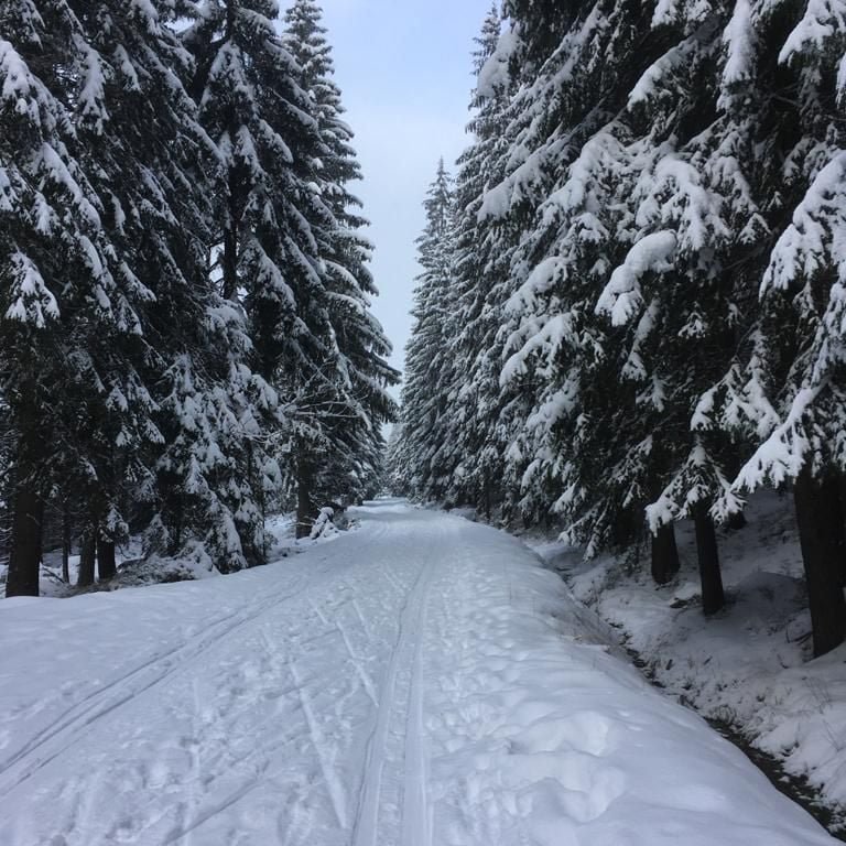 nowe-trasy-narciarskie-93888
