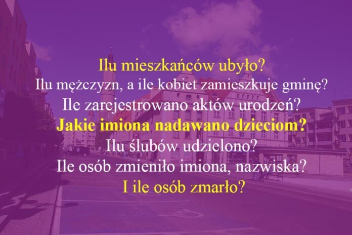 gmina-w-statystyce-94026