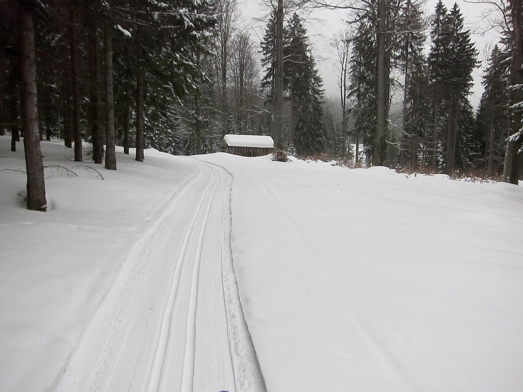 kolejna-trasa-biegowospacerowa-94238