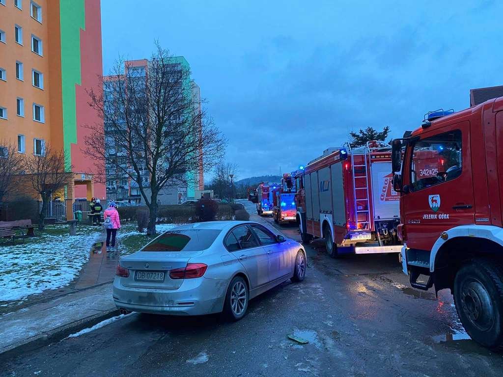 desperat-szaleniec-94349