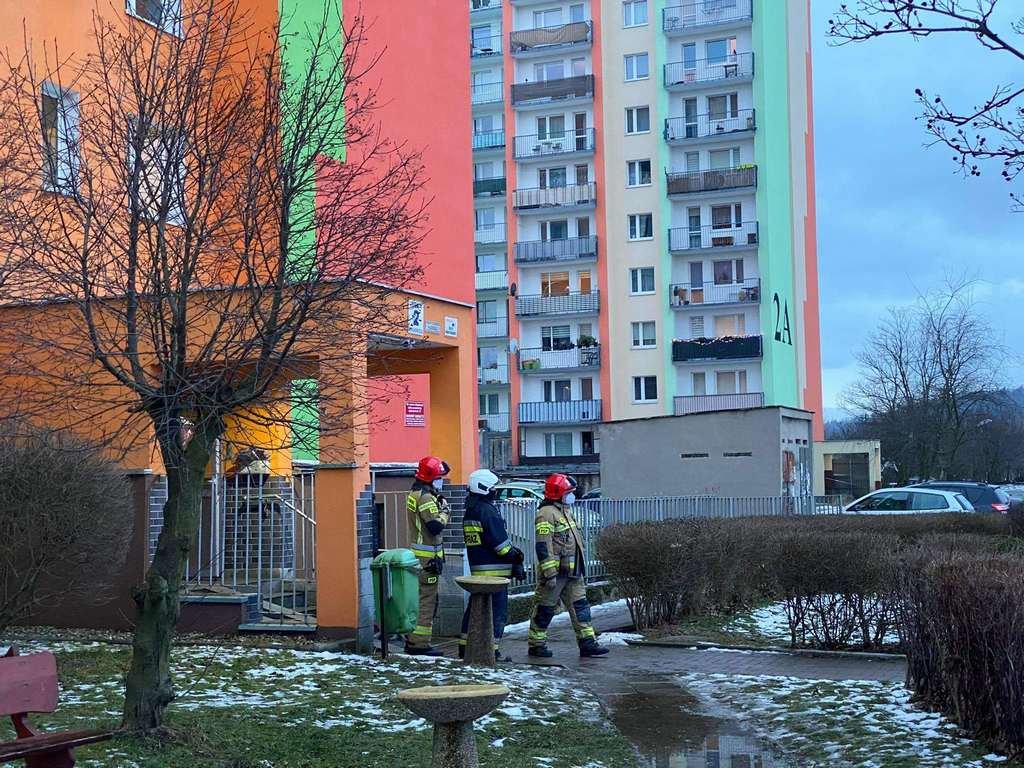 desperat-szaleniec-94349