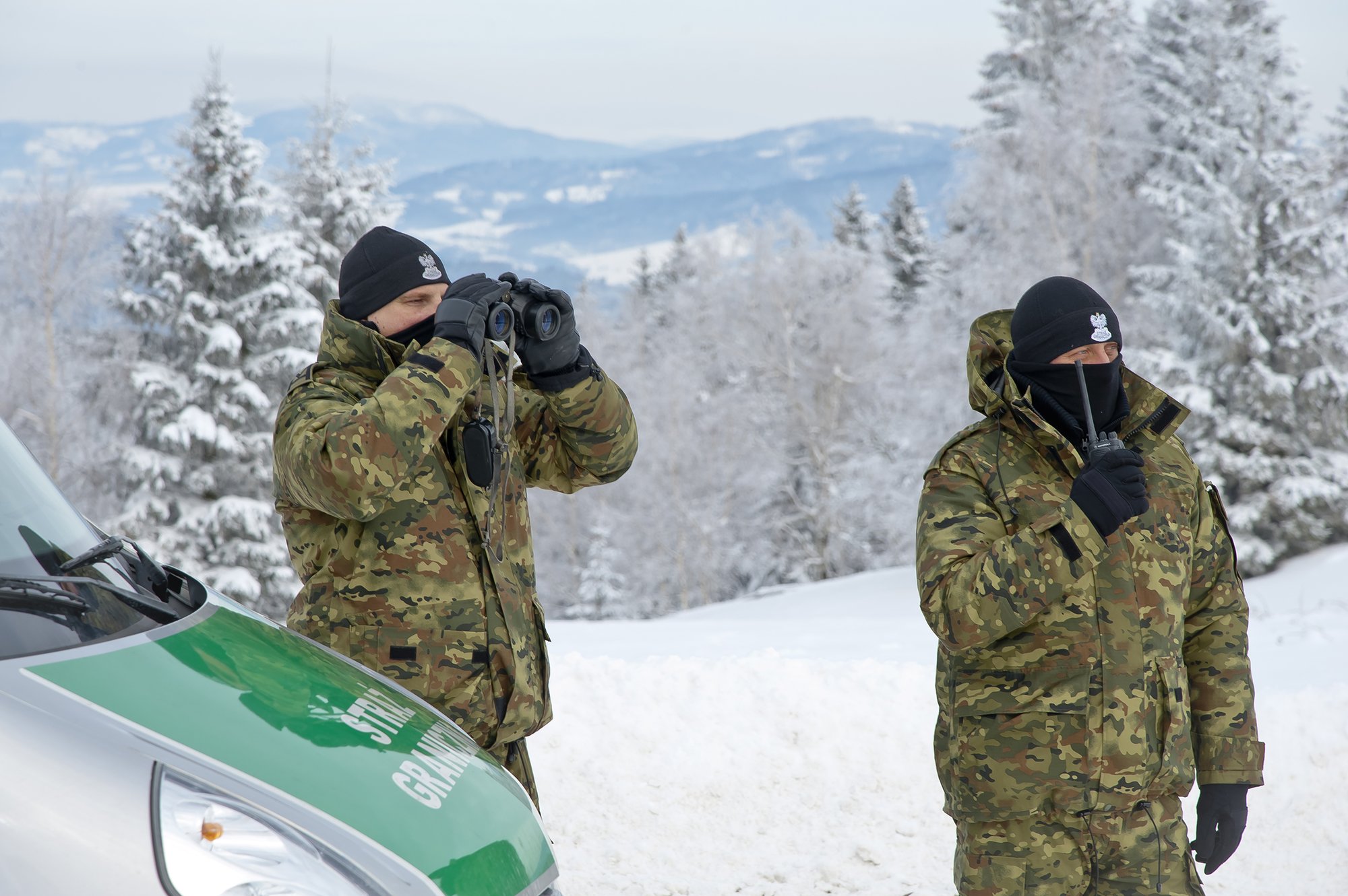 pracowity-luty-w-sg-94696