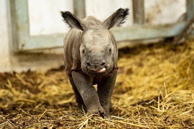 promyk-sonca-we-wrocawskim-zoo-94740