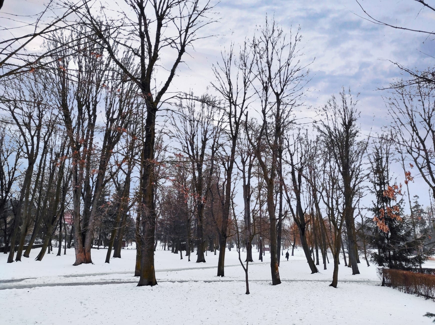 prace-w-parku-miejskim-94837