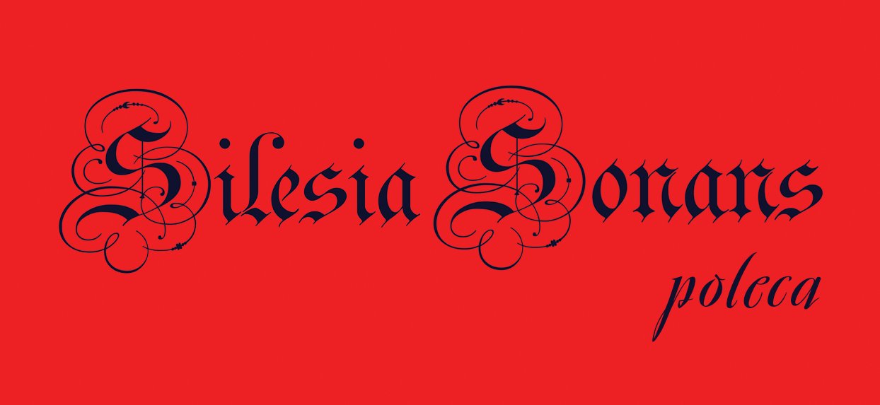 silesia-sonans-poleca-5-94965