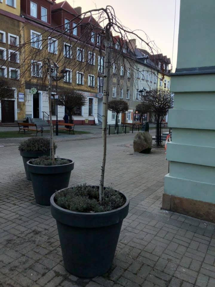 porzadki-na-starowce-95045