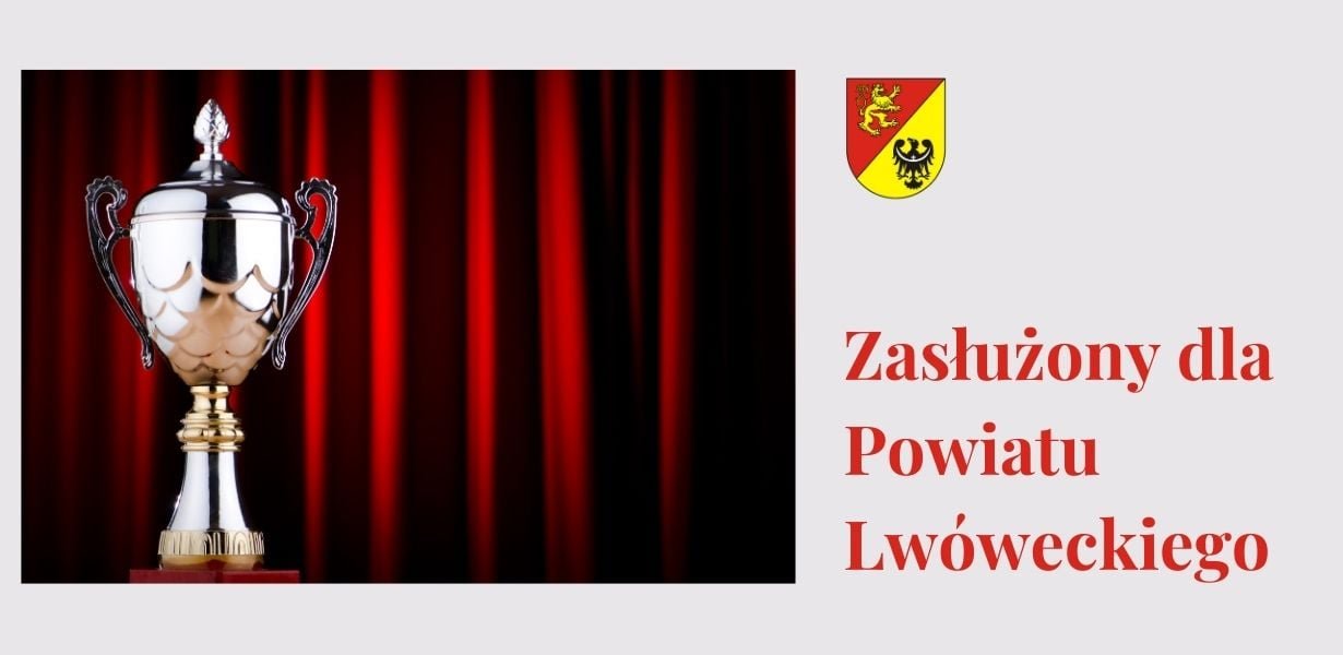 zasuzeni-dla-powiatu-95080