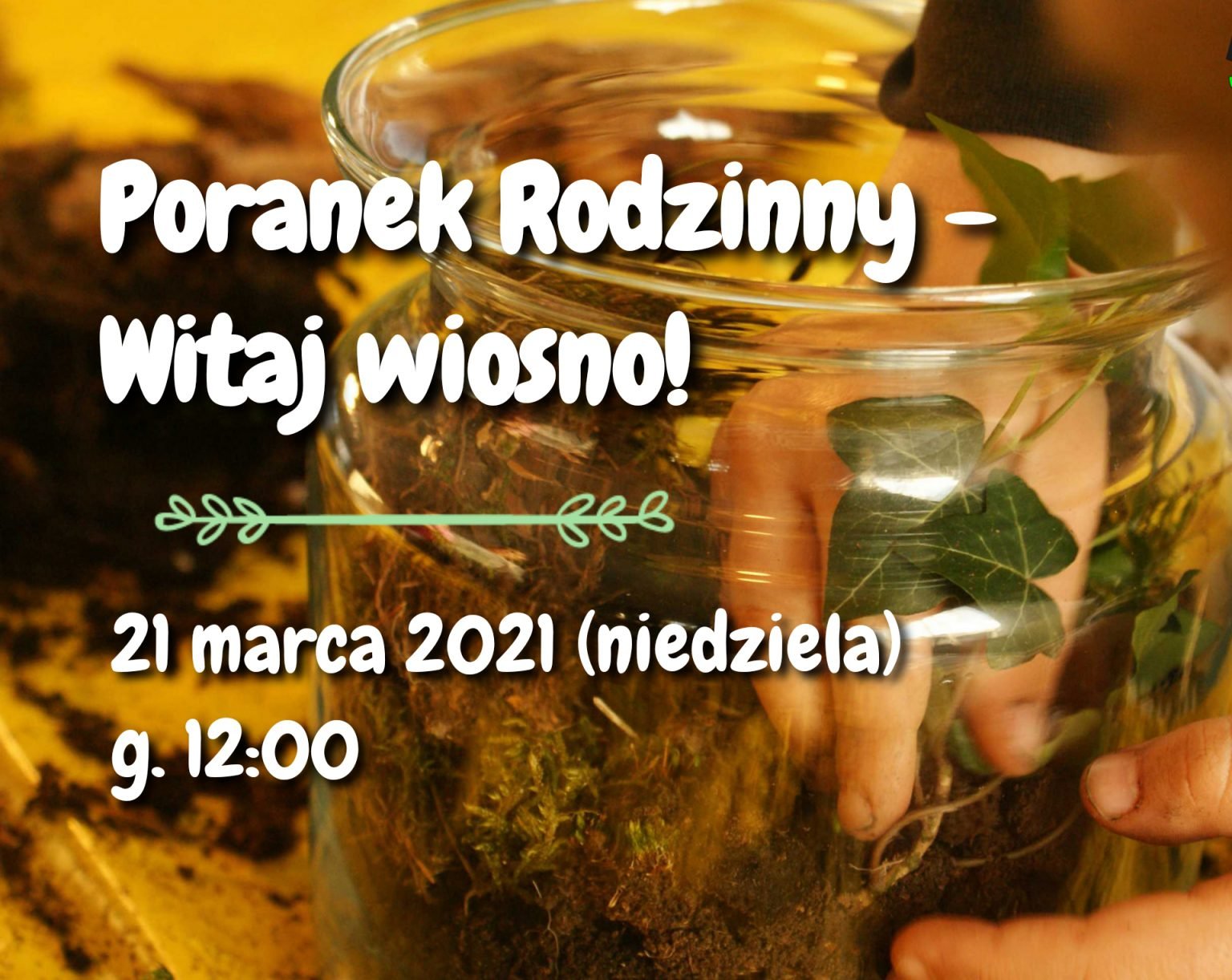 wiosenny-poranek-rodzinny-w-niedziele-95129
