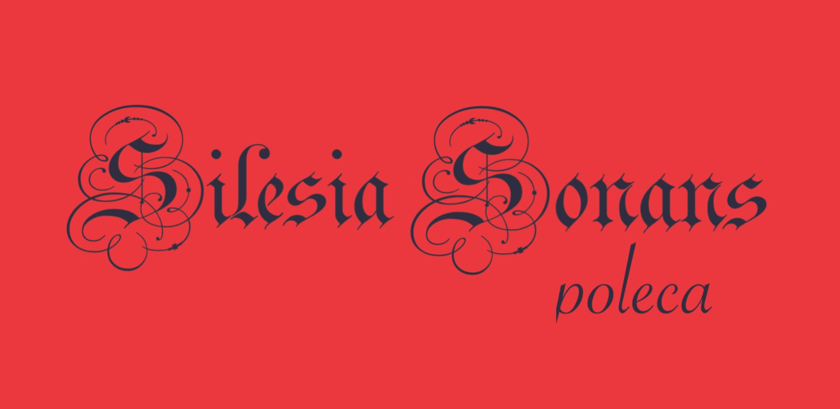 silesia-sonans-poleca-6-95222