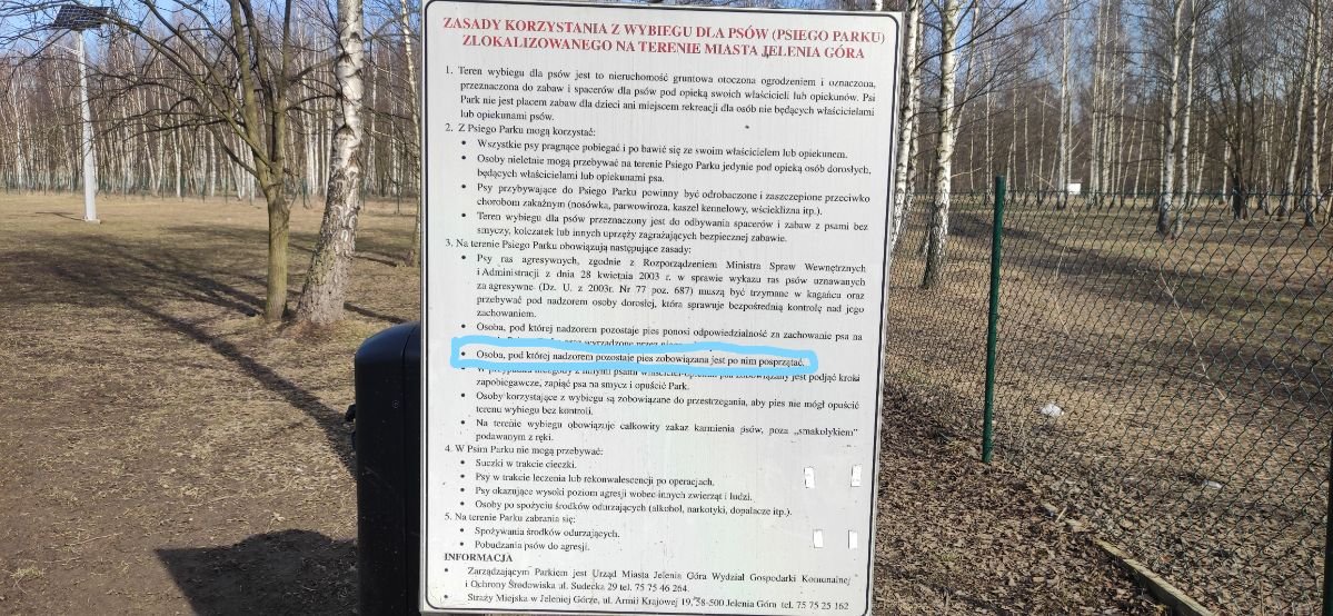 sprzatanie-po-psie-to-obowiazek-95320