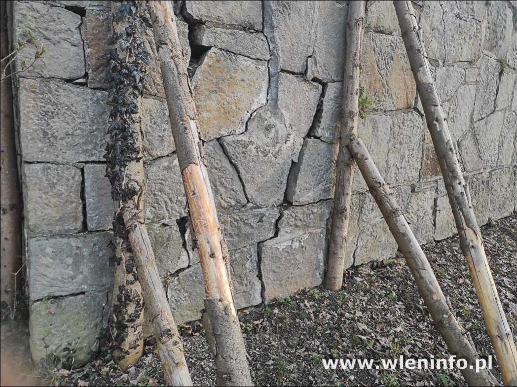 a-mur-niszczeje-95672
