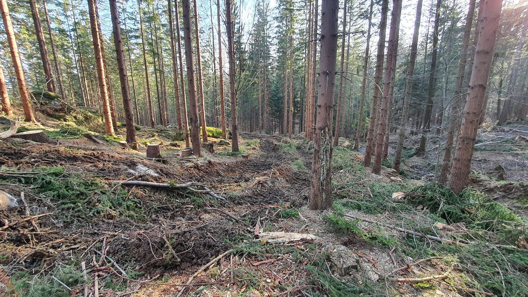 zniszczyli-wiec-naprawia-95778