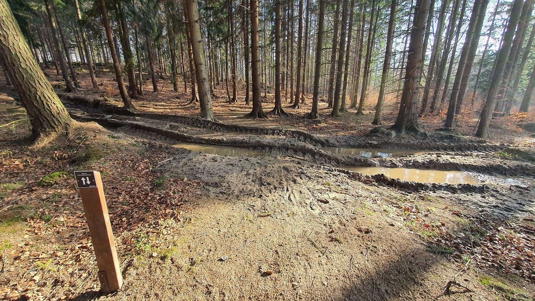 zniszczyli-wiec-naprawia-95778