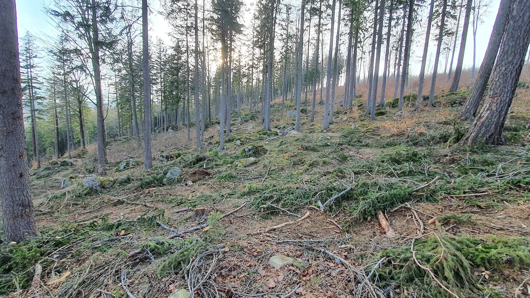 zniszczyli-wiec-naprawia-95778