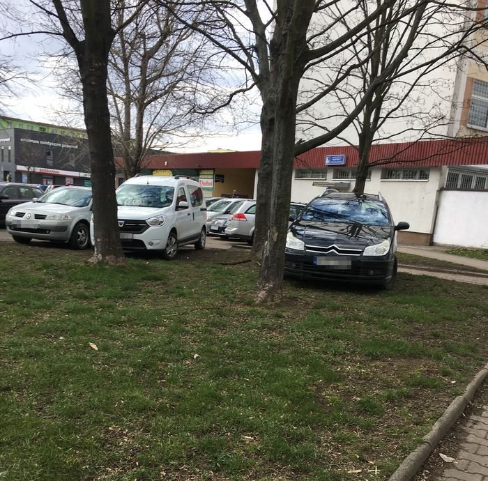 parkowanie-bez-zasad-95900