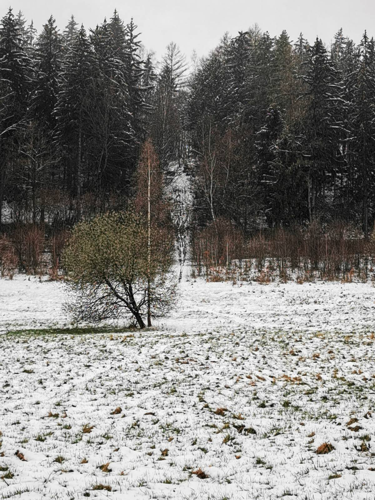 pamiatka-po-skokach-narciarskich-96126