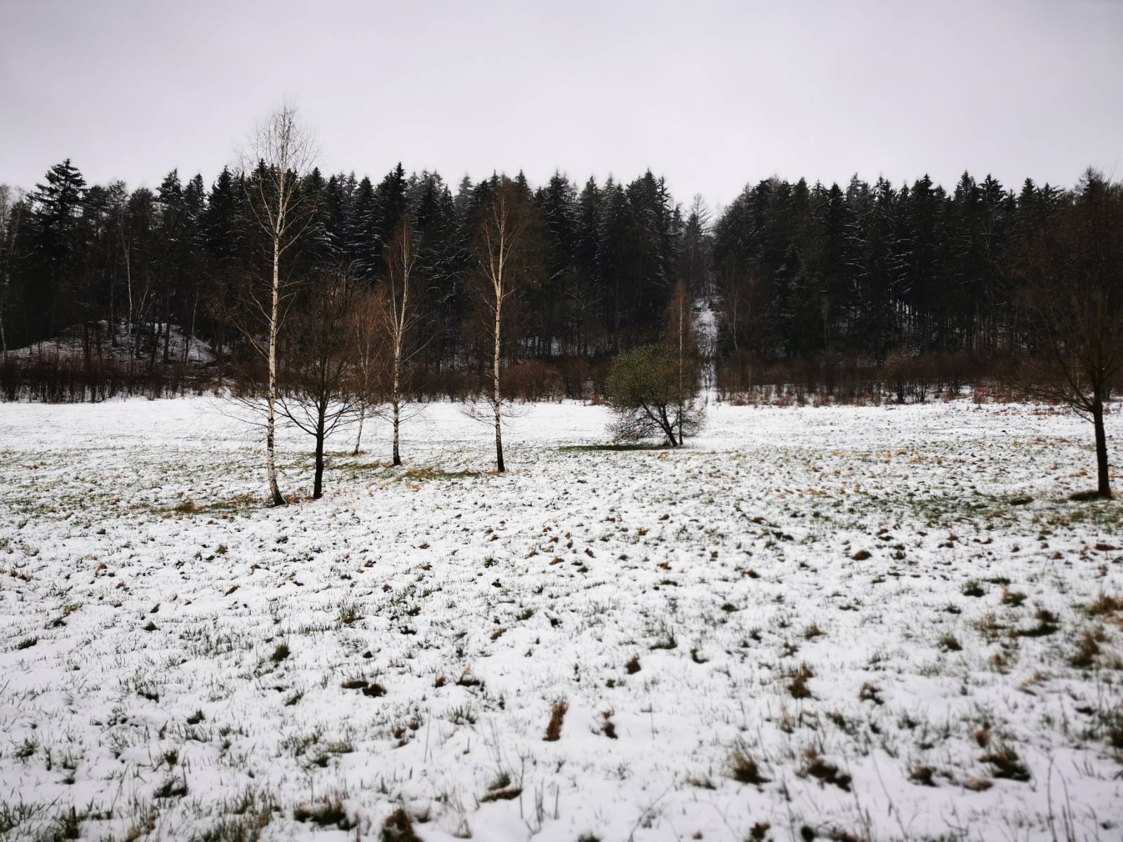 pamiatka-po-skokach-narciarskich-96126