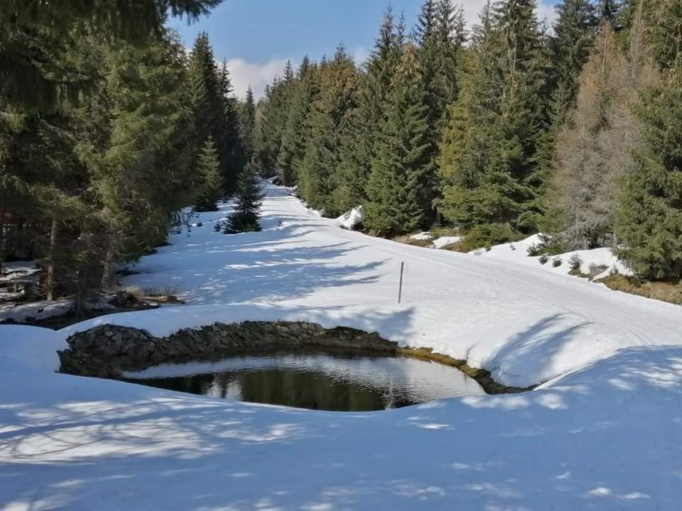 pogoda-na-biegowki-96151