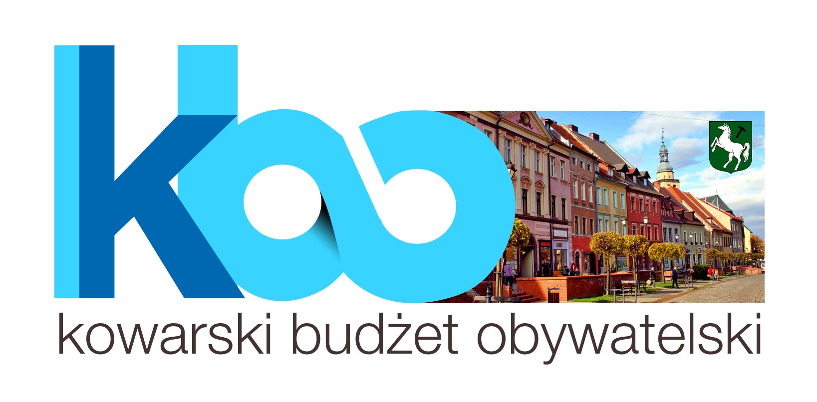 gosowanie-w-budzecie-obywatelskim-96201