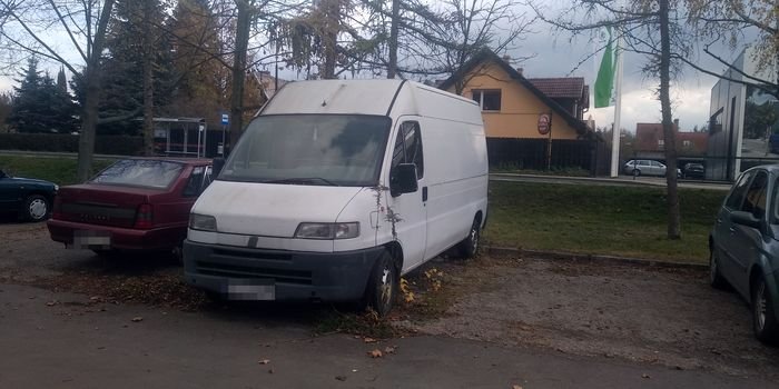 straz-miejska-zamaa-prawo-96246
