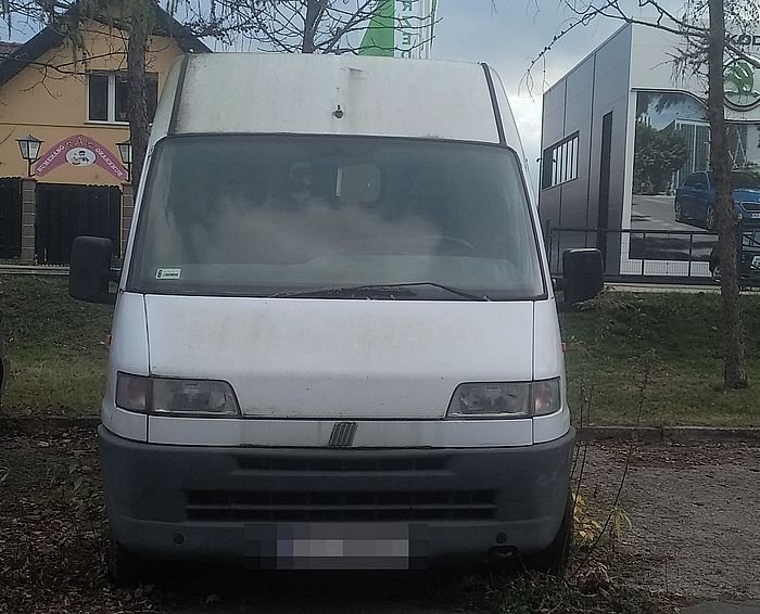 straz-miejska-zamaa-prawo-96246