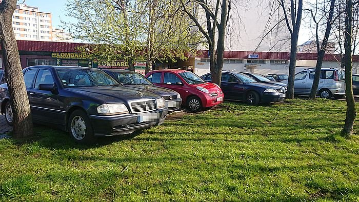 zajezdzaja-trawniki-96441