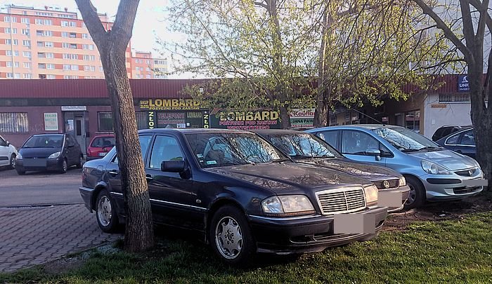 zajezdzaja-trawniki-96441