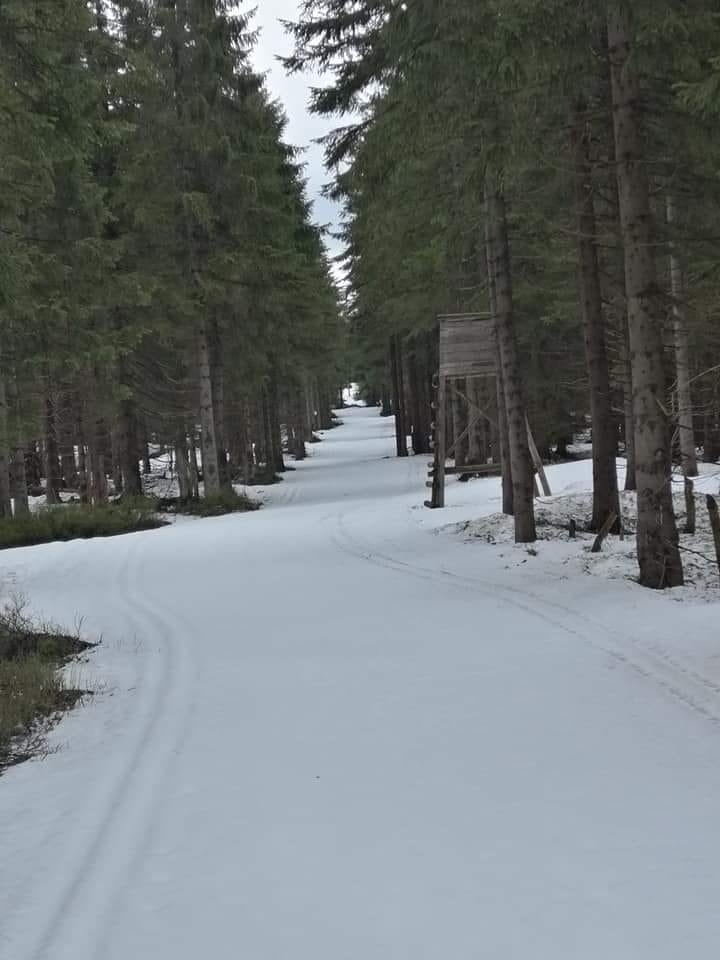 sa-warunki-na-biegowki-96473