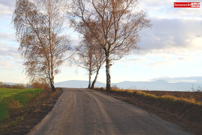 remont-drogi-powiatowej-96568
