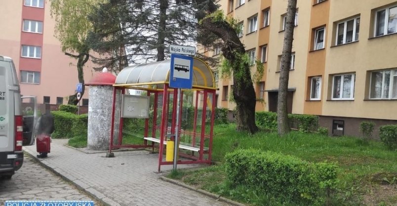 zniszczya-pojdzie-siedziec-96617