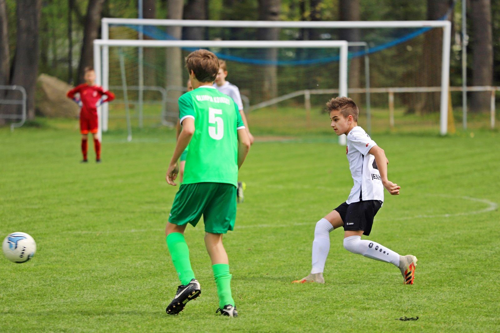 chojnik-nie-zwalnia-96713