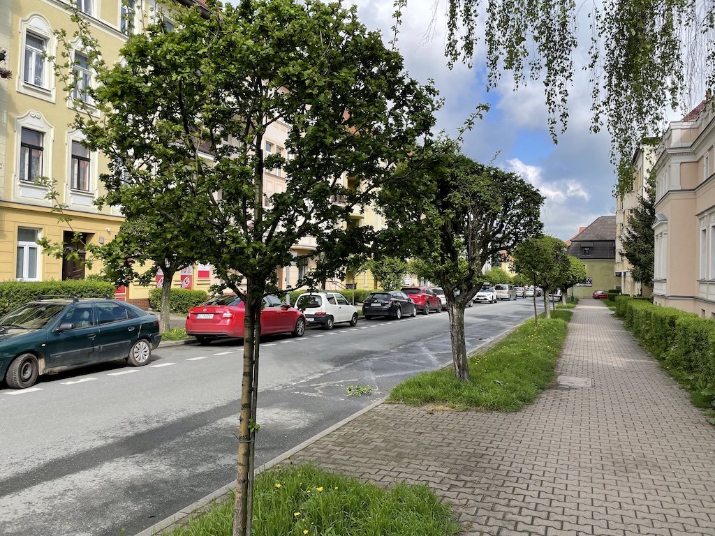 miastu-przybywa-barw-96751