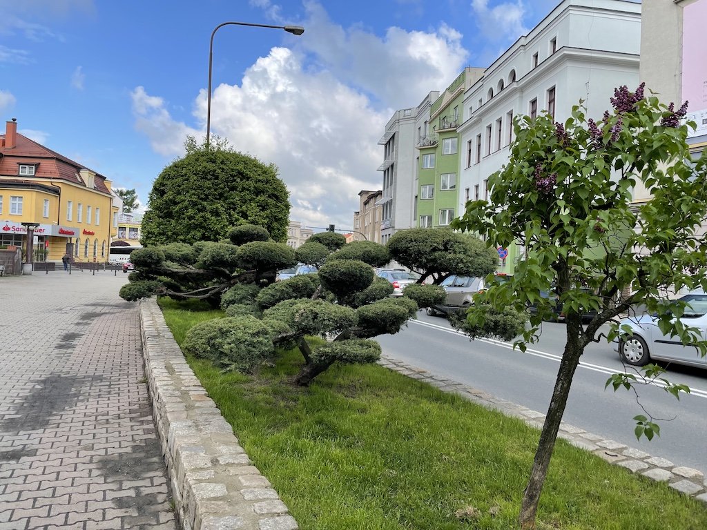 miastu-przybywa-barw-96751