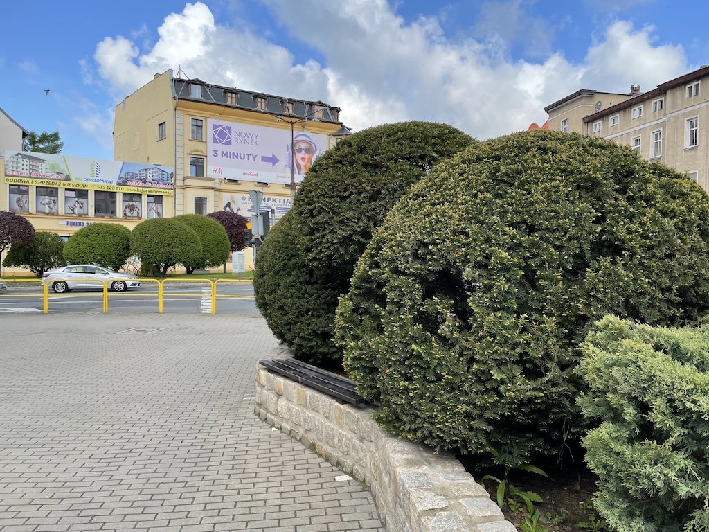 miastu-przybywa-barw-96751