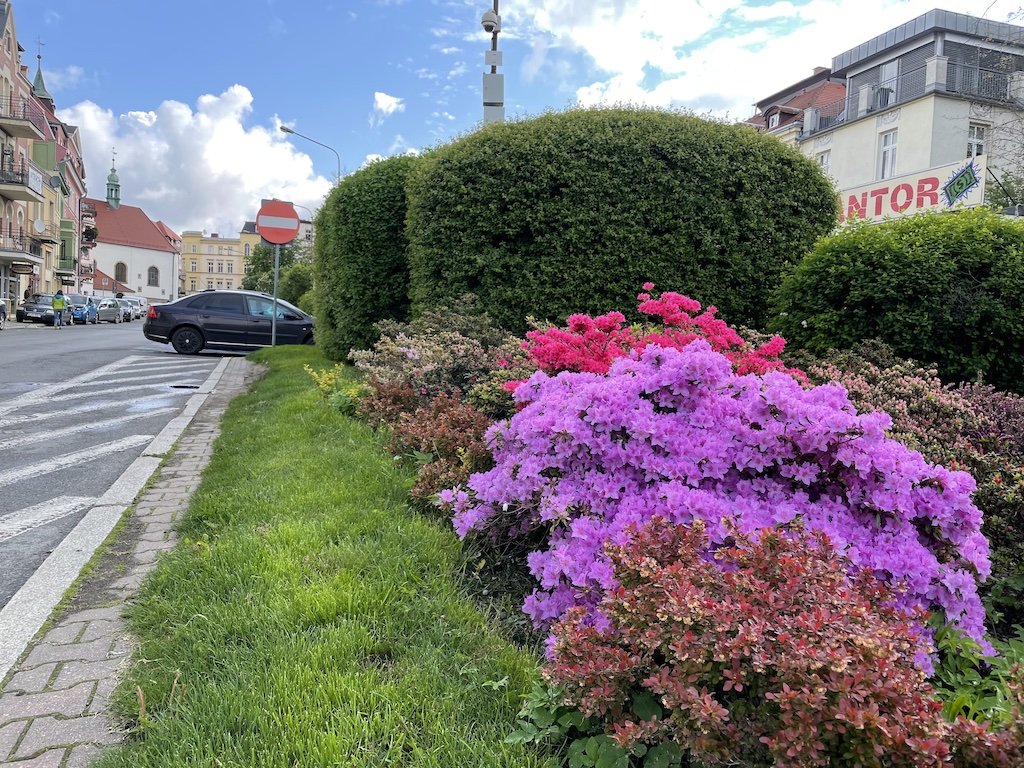 miastu-przybywa-barw-96751