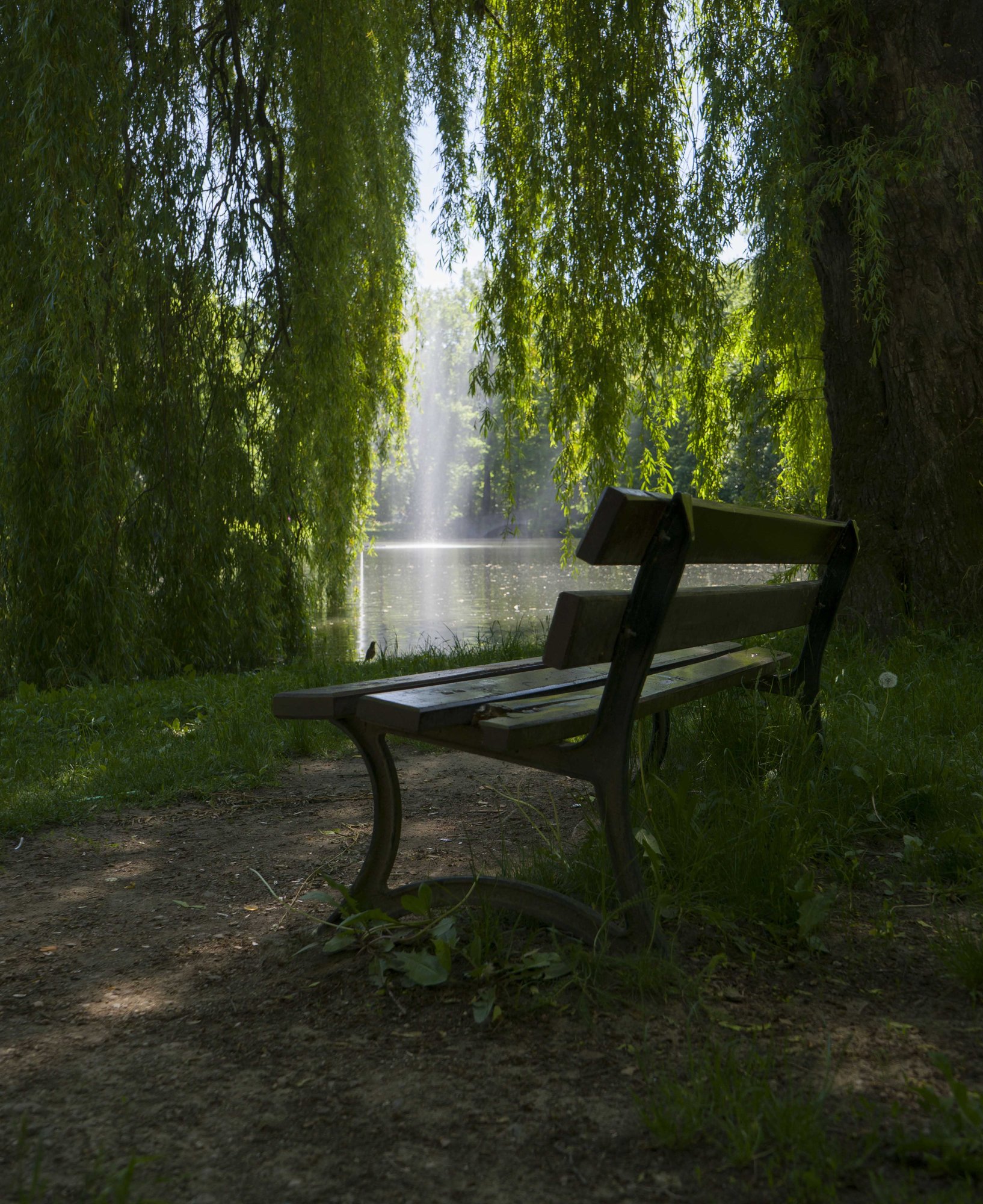 lubie-moje-miasto-galeria-96796