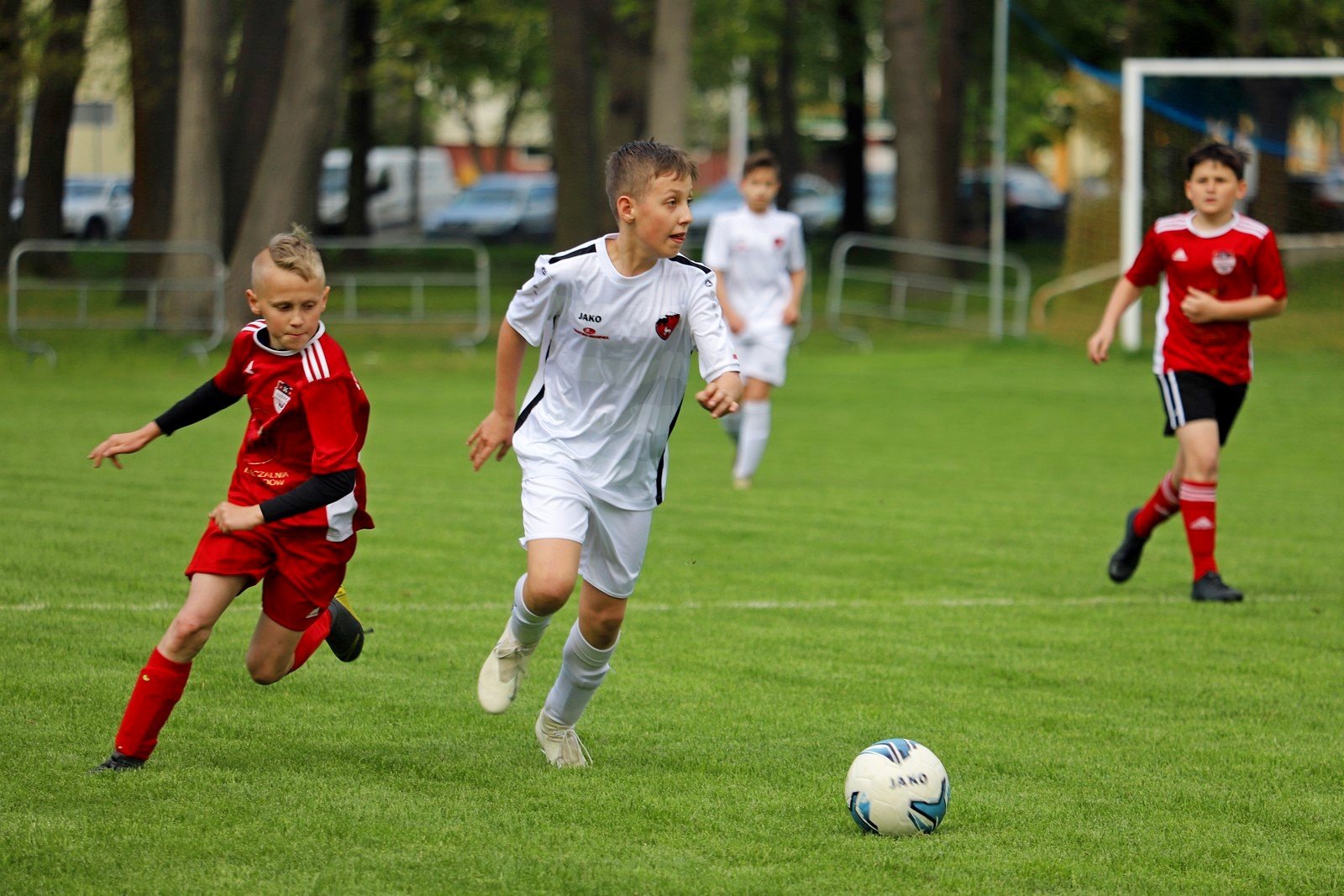 niespodzianka-w-parku-norweskim-96799