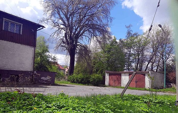 samorzadowcy-dzieciom-96833