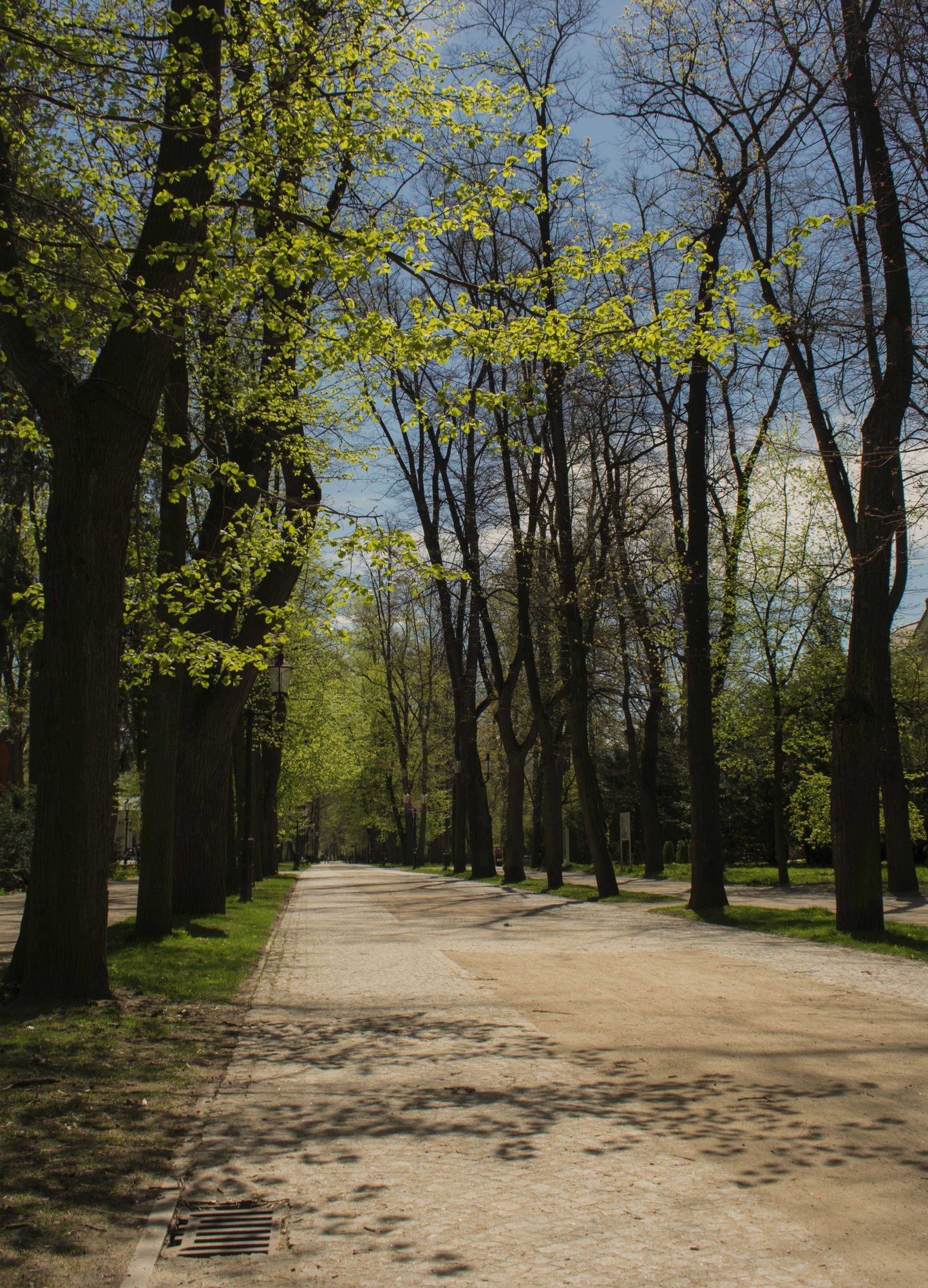 lubie-moje-miasto-2-96894