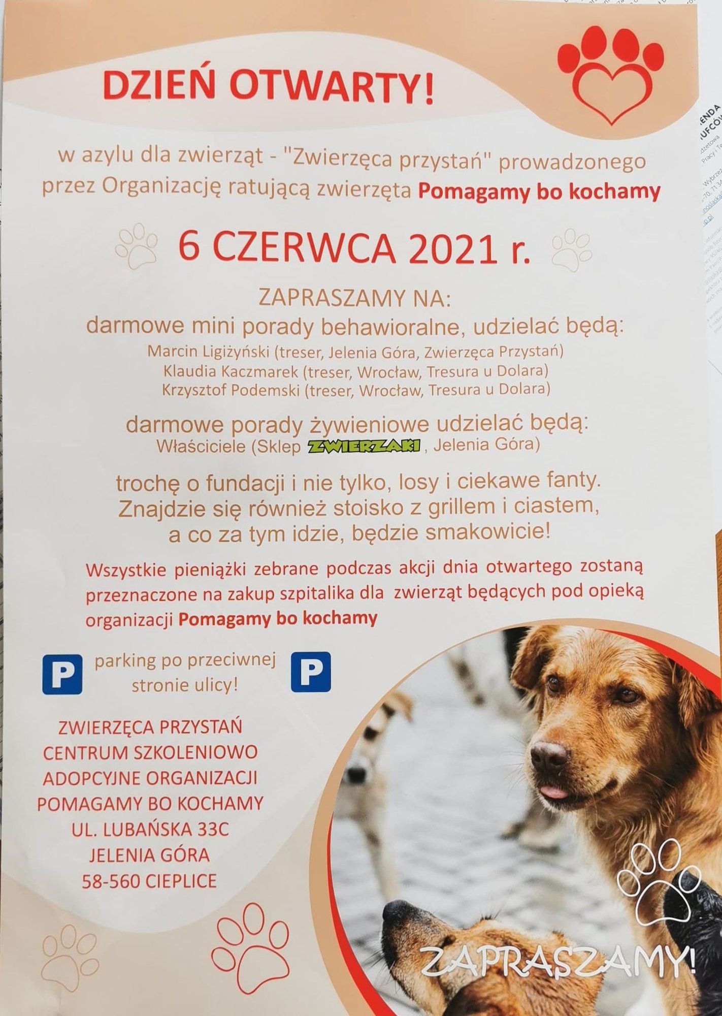 zwierzeca-przystan-zaprasza-na-dzien-otwarty-96902