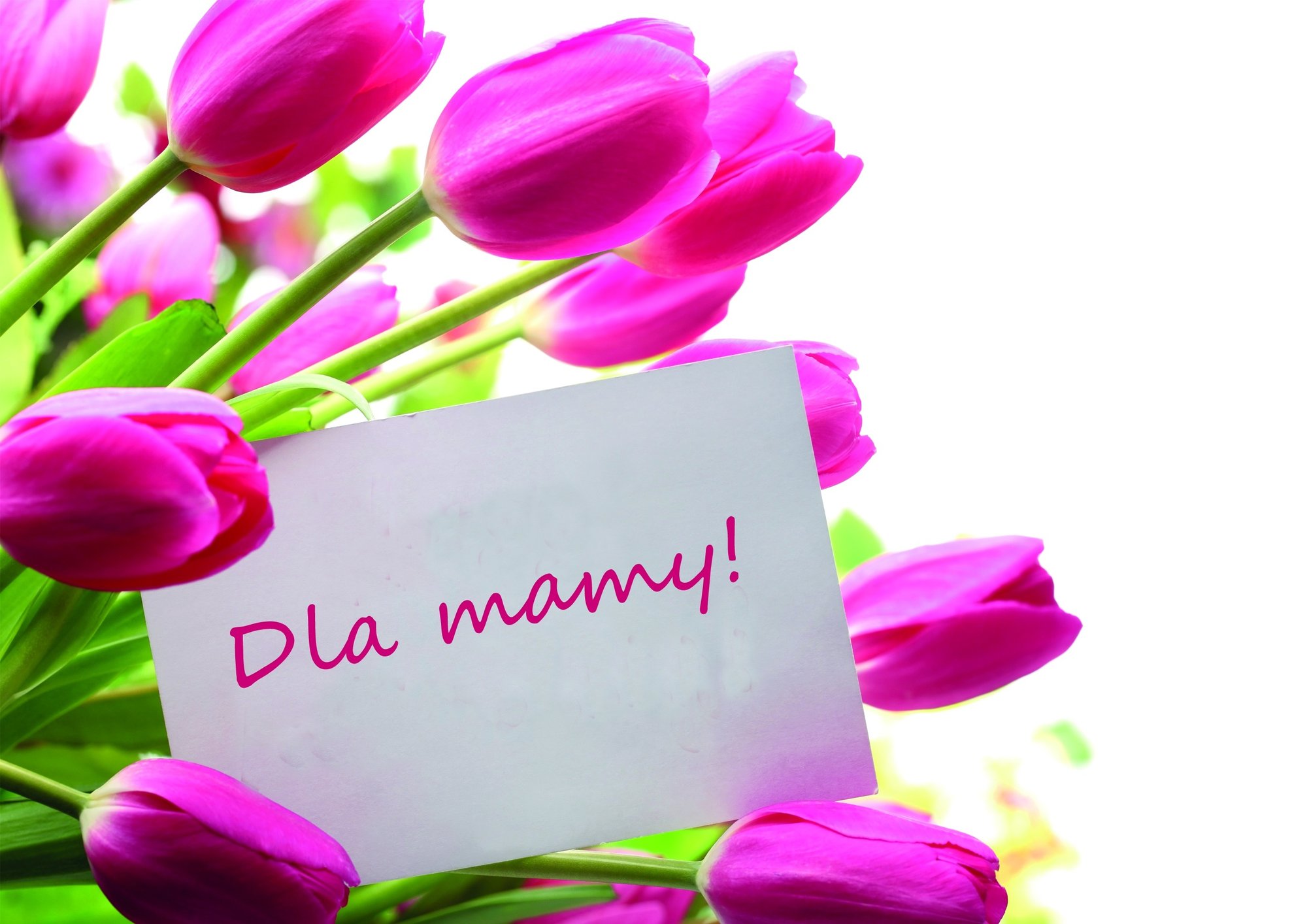 dzis-dzien-matki-96922