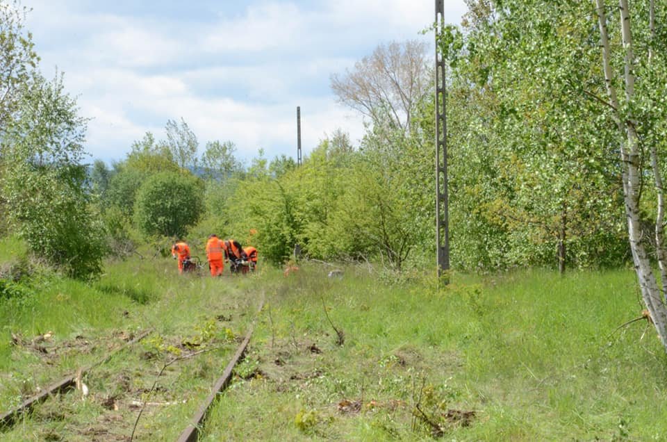 kolej-izerska-96976