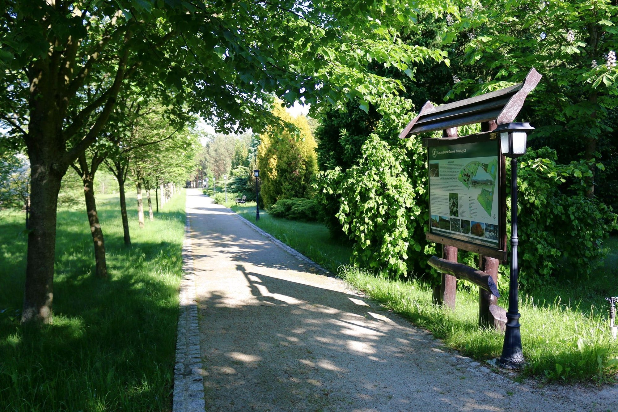 piekno-lesnego-ogrodu-97286