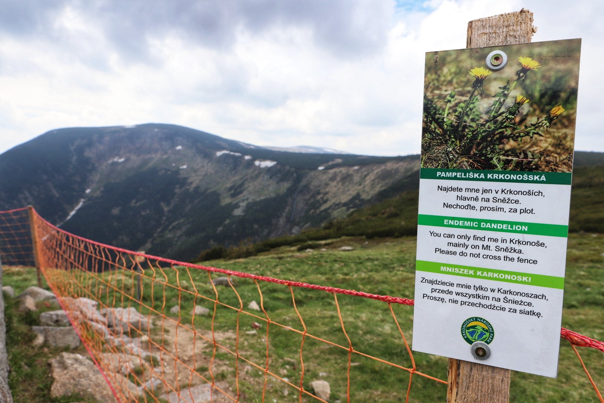 siatki-dla-ochrony-karkonoskiej-przyrody-97355