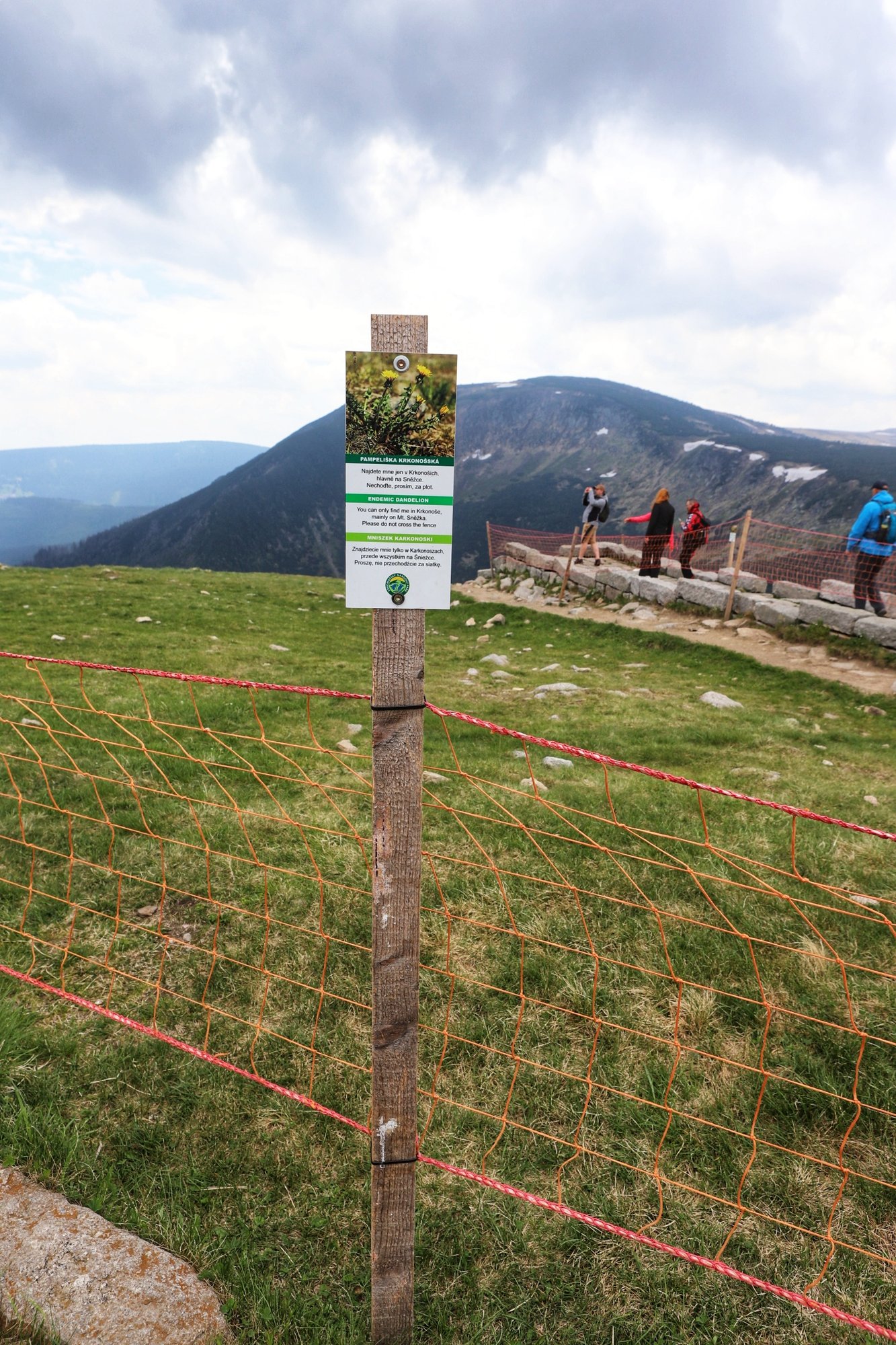 siatki-dla-ochrony-karkonoskiej-przyrody-97355