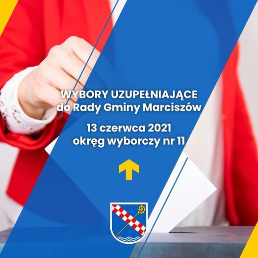 wybory-uzupeniajace-97362